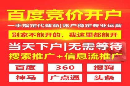 SEM优化实战案例：效果提升策略